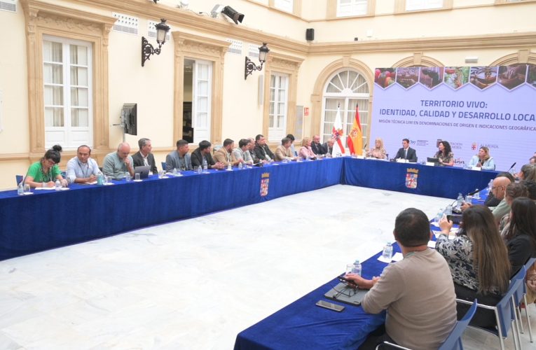 Almería acoge una delegación Iberoamericana para analizar el Modelo Almería