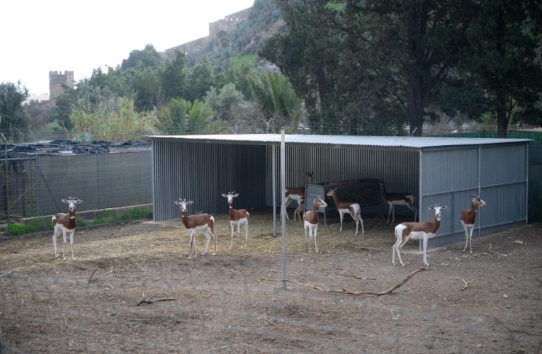 El Ayuntamiento insta al Gobierno a reubicar la Finca Experimental de Zonas Áridas (EZZA)