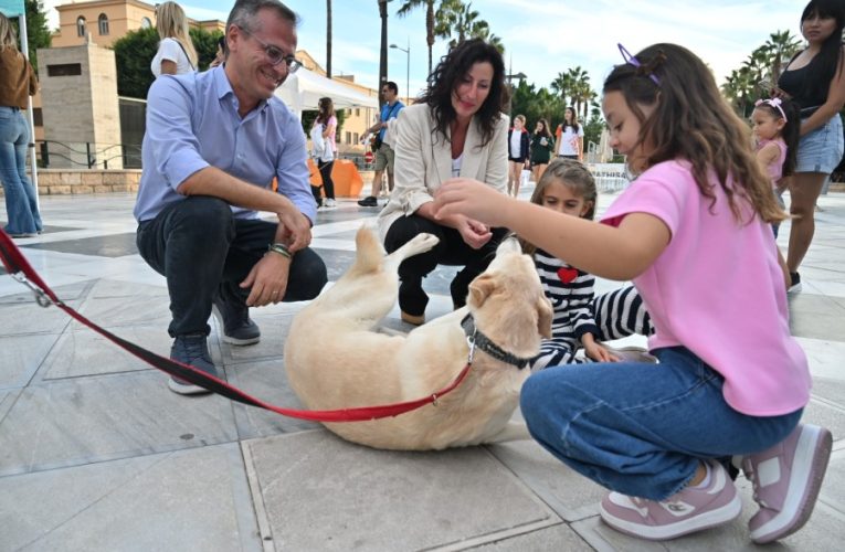 ‘AlmAnimal’ llena el centro de Almería de historias que buscan una segunda oportunidad